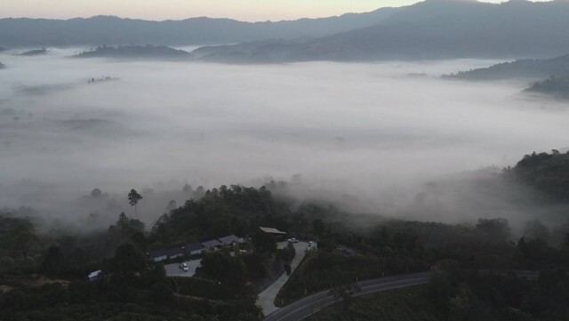 ชมความสวยงามทะเลหมอก"ดอยภูลังกา"