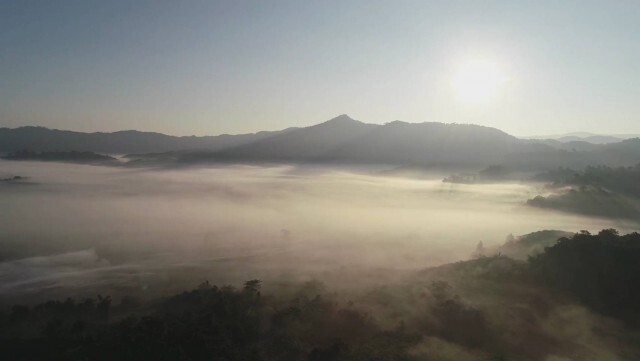 ชมความสวยงามทะเลหมอก"ดอยภูลังกา"