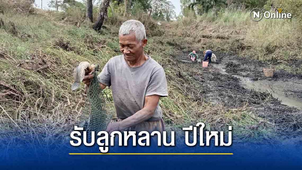 ชาวบ้านจับปลาเตรียมทำอาหารรับลูกหลานปีใหม่ ชาวบ้านจับปลาเตรียมทำอาหารรับลูกหลานปีใหม่