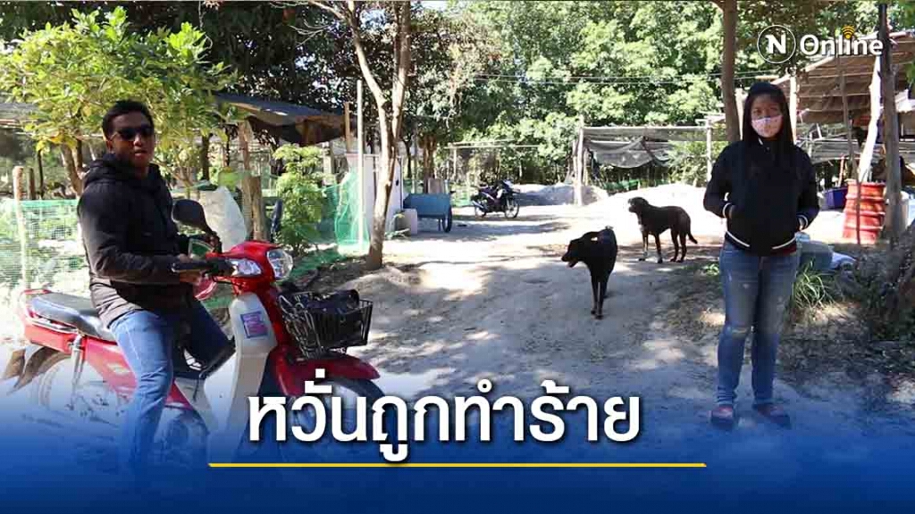 สาวผวาเพื่อนบ้านมีอาการทางประสาทเมาสารละเหยหลอนถือมีดพร้าเดินไปมา สาวผวาเพื่อนบ้านมีอาการทางประสาทเมาสารละเหยหลอนถือมีดพร้าเดินไปมา