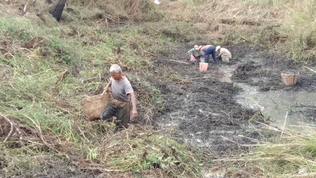 ชาวบ้านจับปลาเตรียมทำอาหารรับลูกหลานปีใหม่