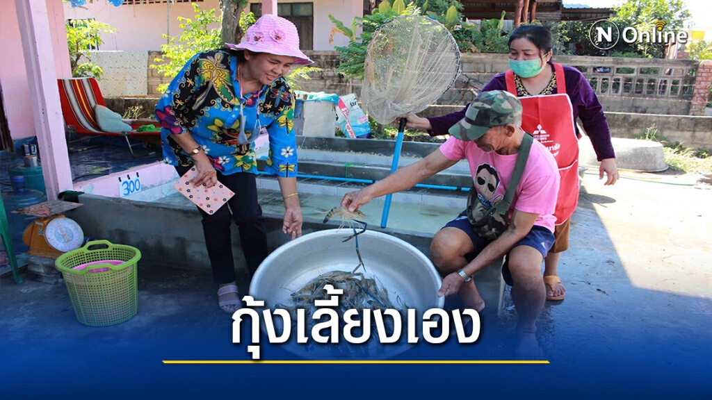 เปิดหน้าบ้านขายกุ้งก้ามกรามเอง ปชช.มั่นใจไม่ได้มารับสุมทรสาคร