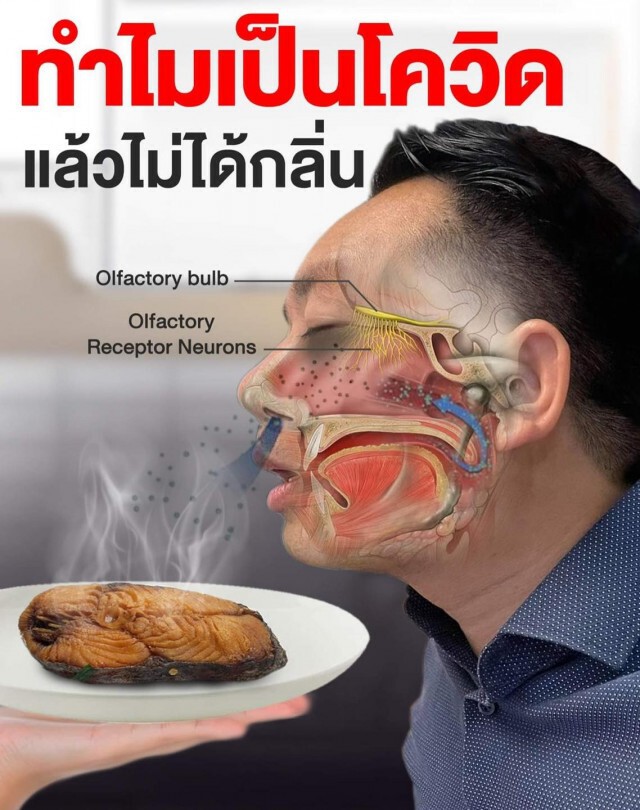 หมอแล็บฯ คลายข้อสงสัย ทำไมคนติดเชื้อ "โควิด-19" บางคนจึงไม่ได้กลิ่น
