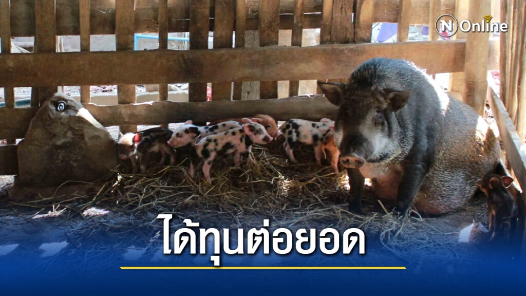 กองทุนสตรีลดดอกเบี้ยเงินกู้สู้โควิด