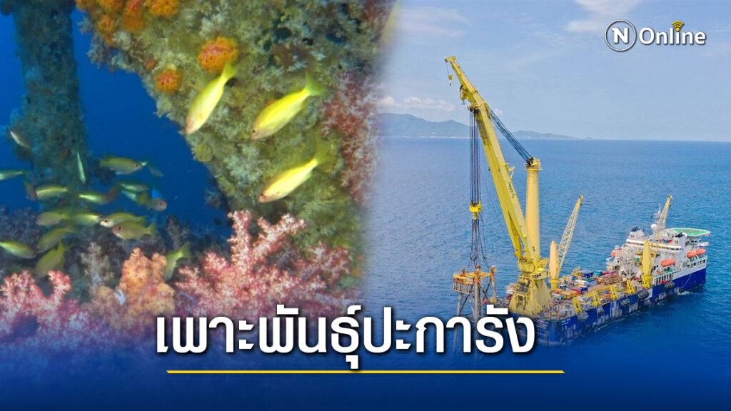 กรม ทช. ร่วม เชฟรอนประเทศไทยสร้างแหล่งเพาะพันธุ์ปะการัง