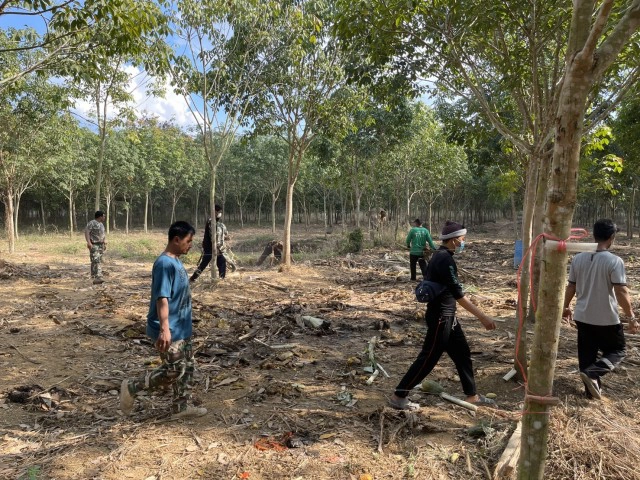 "เป็นปลื้ม" ช้างป่าชราภาพ ป่ารอยต่อห้าจังหวัด กลายเป็นนางงามมิตรภาพ