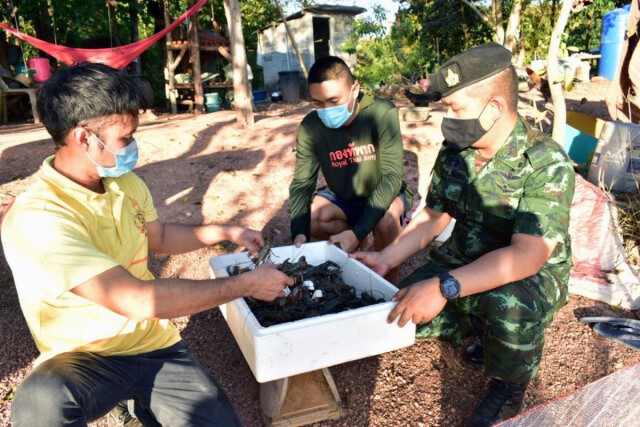 ทหารซื้อกุ้งสดช่วยเหลือเกษตรกรที่ได้รับผลกระทบจากโควิด