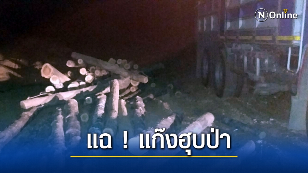 แฉแก๊งฮุบป่าตัดไม้จนเหี้ยนก่อน มีจนท.ป่าไม้ ร่วมขบวนการ