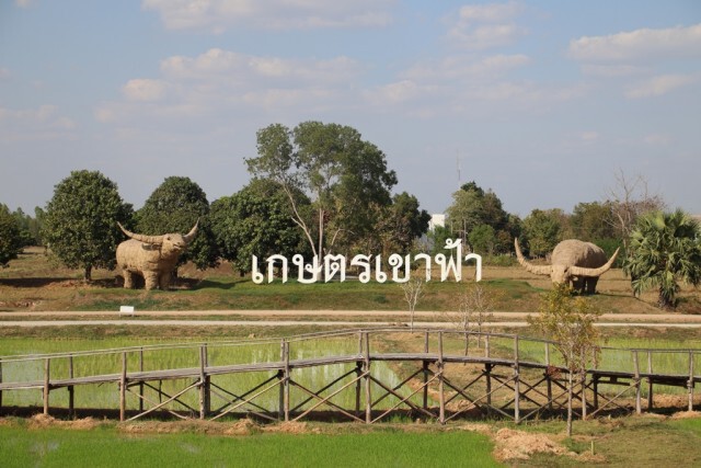 "จิบกาแฟ แลวิว"ที่ "เกษตรเขาฟ้า"