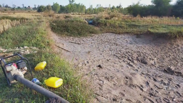 ชาวบ้านช่วยกันจับปลารอรับลูกหลานกลับจากกทม.