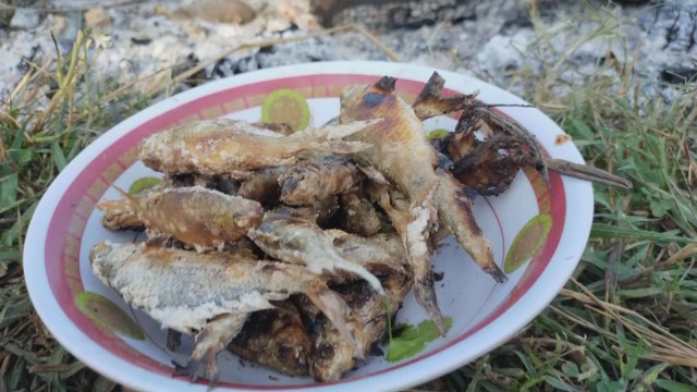 ชาวบ้านช่วยกันจับปลารอรับลูกหลานกลับจากกทม.