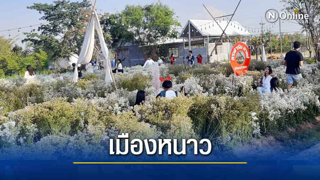 แห่เที่ยวเช็คอินสวนดอกไม้เมืองหนาว