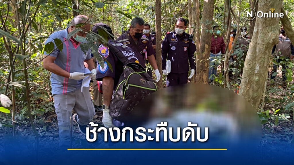 สุดสลด เกิดเหตุช้างกระทืบคนหาของป่าเสียชีวิต สุดสลด เกิดเหตุช้างกระทืบคนหาของป่าเสียชีวิต