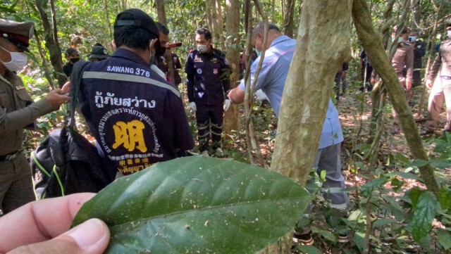 สุดสลด เกิดเหตุช้างกระทืบคนหาของป่าเสียชีวิต