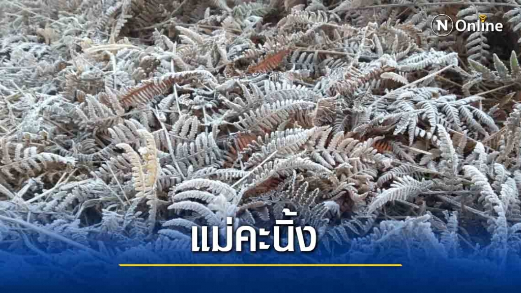 แม่คะนิ้งลงระลอกสองบนภูกระดึง แม่คะนิ้งลงระลอกสองบนภูกระดึง