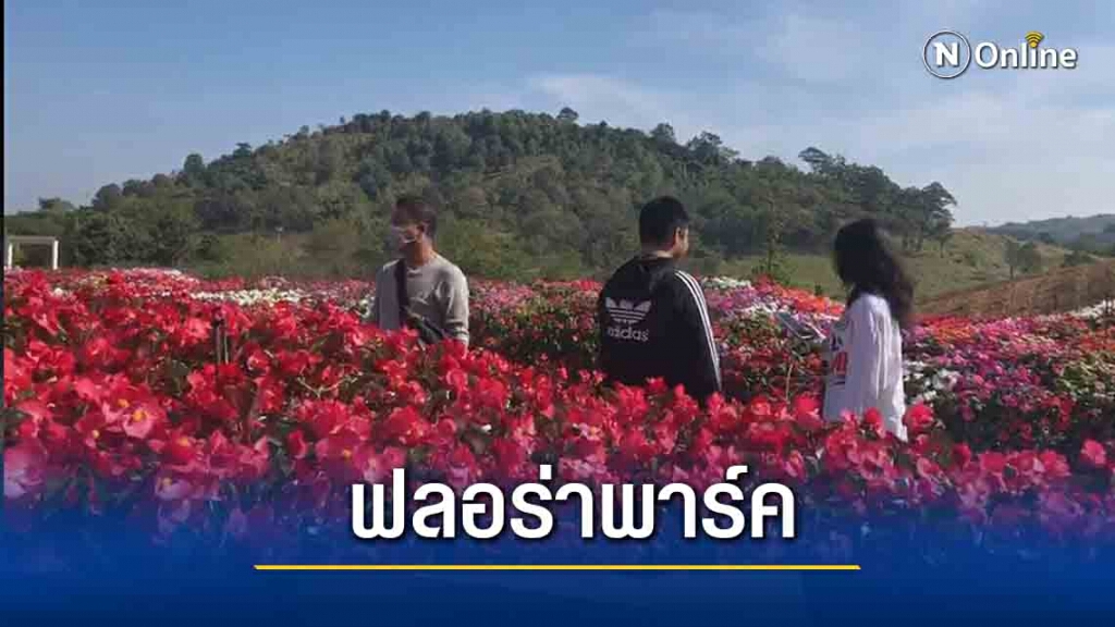 เที่ยวฟลอร่าพาร์ควังน้ำเขียวแน่น เที่ยวฟลอร่าพาร์ควังน้ำเขียวแน่น