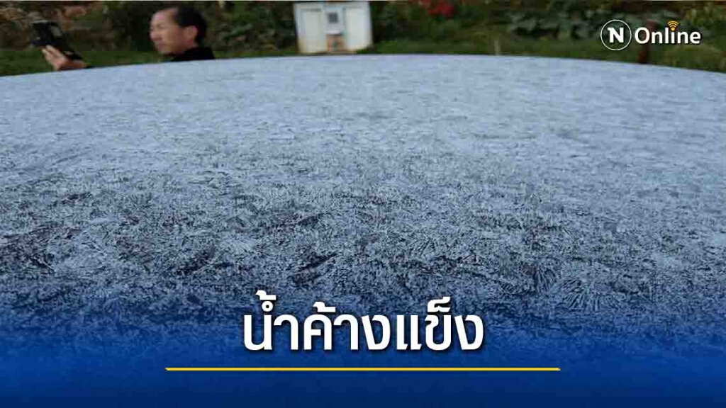 "บ้านร่องกล้า"ยะเยือก-เกิดน้ำค้างแข็ง "บ้านร่องกล้า"ยะเยือก-เกิดน้ำค้างแข็ง