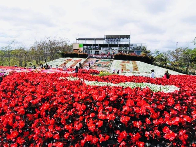 เที่ยวฟลอร่าพาร์ควังน้ำเขียวแน่น