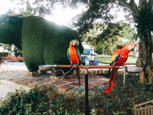 เที่ยวฟลอร่าพาร์ควังน้ำเขียวแน่น