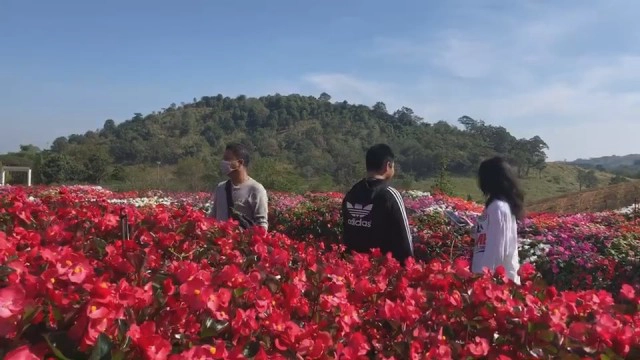 เที่ยวฟลอร่าพาร์ควังน้ำเขียวแน่น