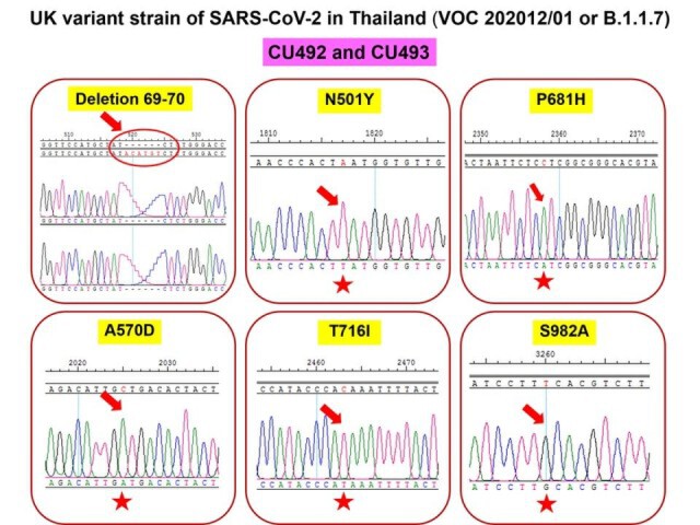 "หมอยง" เผยพบ'โควิด-19'สายพันธุ์อังกฤษกลายพันธุ์ ในประเทศไทย