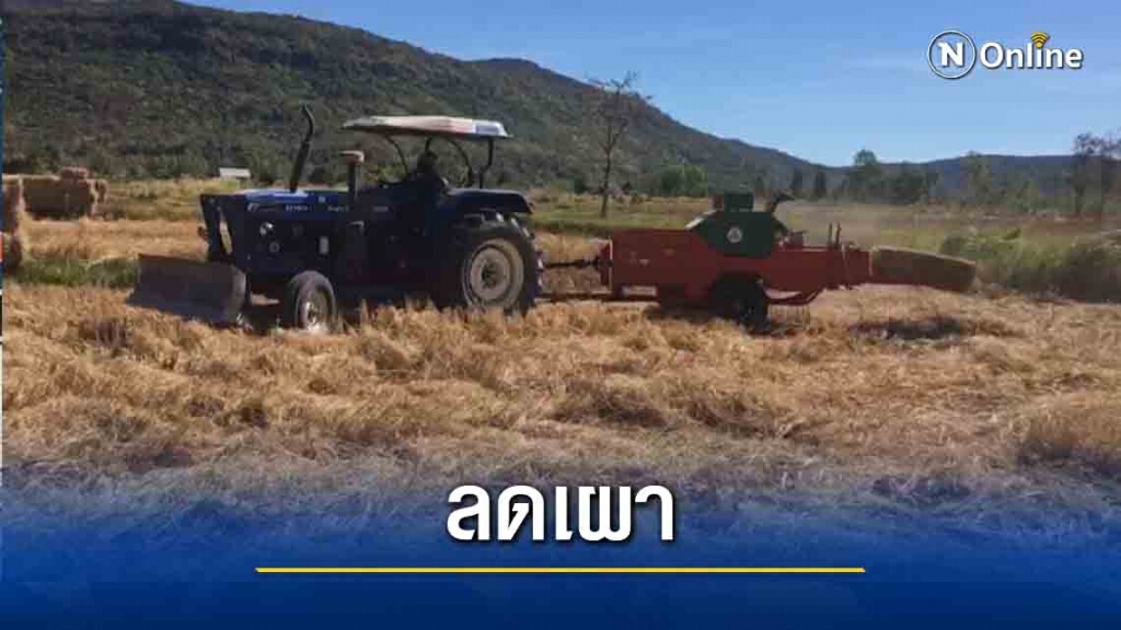ทหารพัฒนาช่วยชาวนาอัดฟางลดการเผาตอซัง ทหารพัฒนาช่วยชาวนาอัดฟางลดการเผาตอซัง