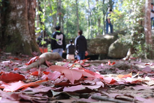 ชมใบเมเปิ้ลแดง-ที่โรงเรียนการเมืองการทหาร