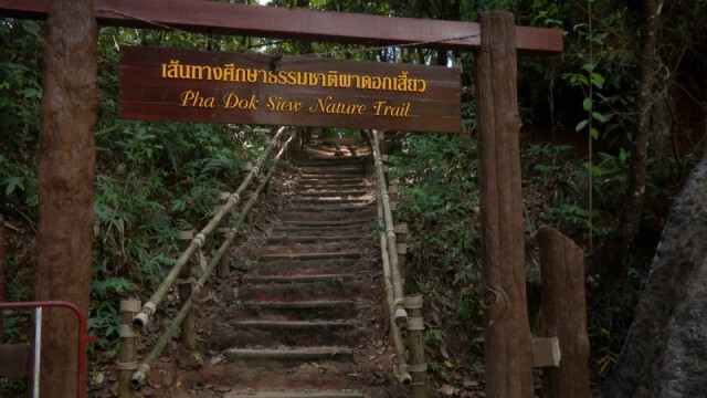 อินทนนท์ปิดผาดอกเสี้ยวป้องกันโควิด-19