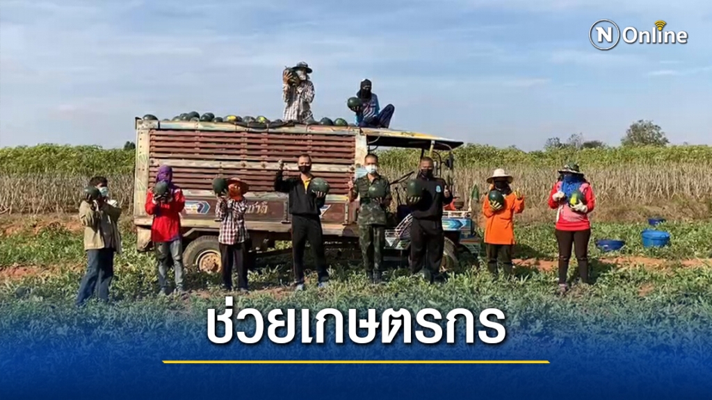 มทบ.21รับซื้อแตงโมเกษตรกร ช่วยบรรเทาผลกระทบโควิด19