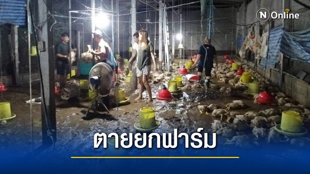น้ำป่าทะลักท่วมฟาร์มไก่ตายกว่า 600 ตัว น้ำป่าทะลักท่วมฟาร์มไก่ตายกว่า 600 ตัว