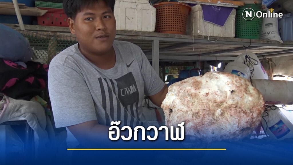 พบ "อำพันทะเล" หนักกว่า 7 กก. เกยหาด