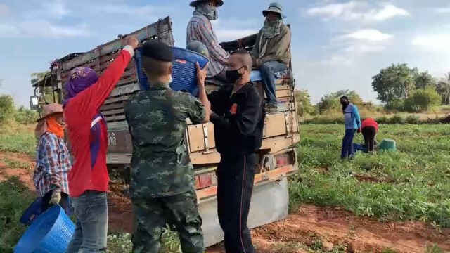 มทบ.21รับซื้อแตงโมเกษตรกร ช่วยบรรเทาผลกระทบโควิด19