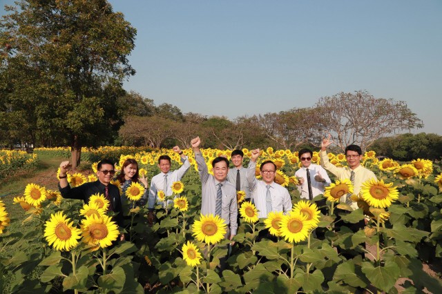 "ทุ่งดอกทานตะวัน"แลนด์มาร์คแห่งใหม่