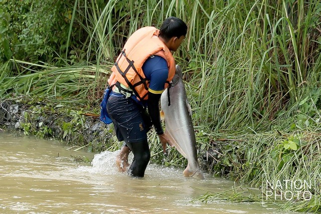 เขื่อนบางลางน้ำเกินความจุเร่งระบาย