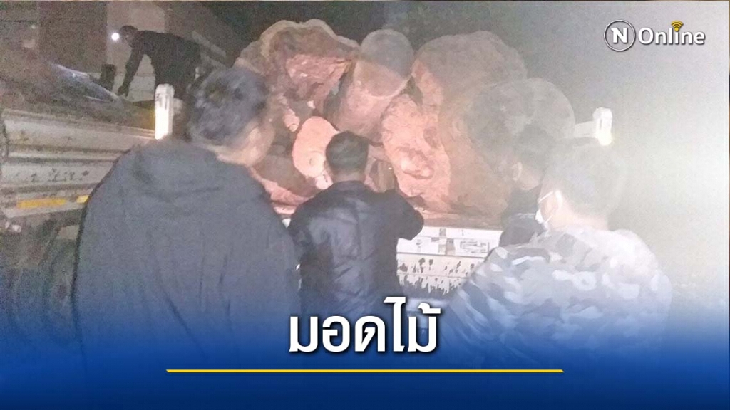 จับ2หนุ่มมอดไม้-เชื่อฝีมือนายทุนแพร่ จับ2หนุ่มมอดไม้-เชื่อฝีมือนายทุนแพร่