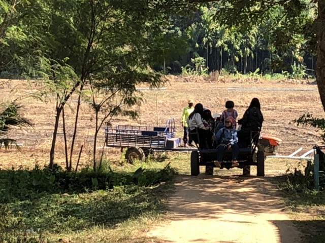 พิษโควิด"บ้านเพาะช้าง"ปิดไม่มีกำหนด
