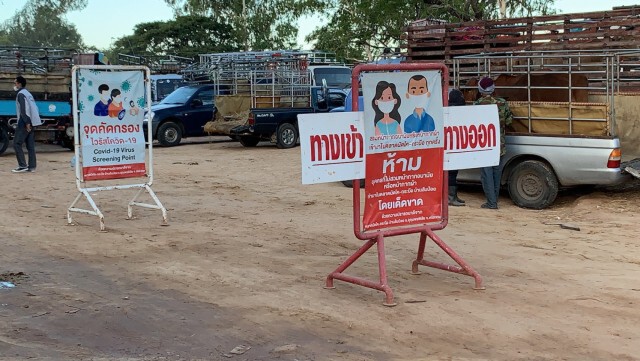 คุมเข้มตลาดนัดโค-กระบือ หวั่นโควิดระบาด