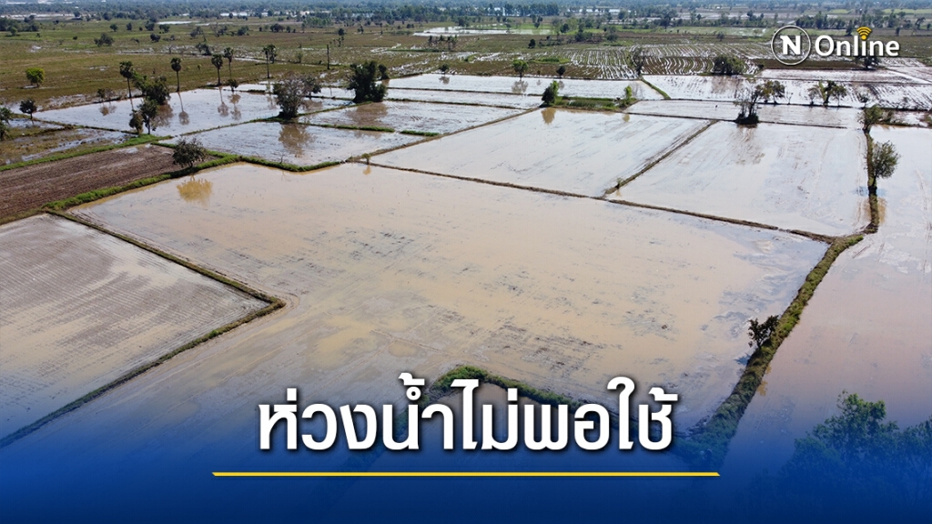 ชาวนาโคราชไม่สนคำสั่งอำเภอ แห่ปลูกข้าวนาปรังกว่า200ไร่ ชาวนาโคราชไม่สนคำสั่งอำเภอ แห่ปลูกข้าวนาปรังกว่า200ไร่