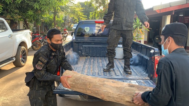 ตร.ตรวจยึดไม้จันทร์หอมลักลอบนำเข้าประเทศ มูลค่าครึ่งล้าน