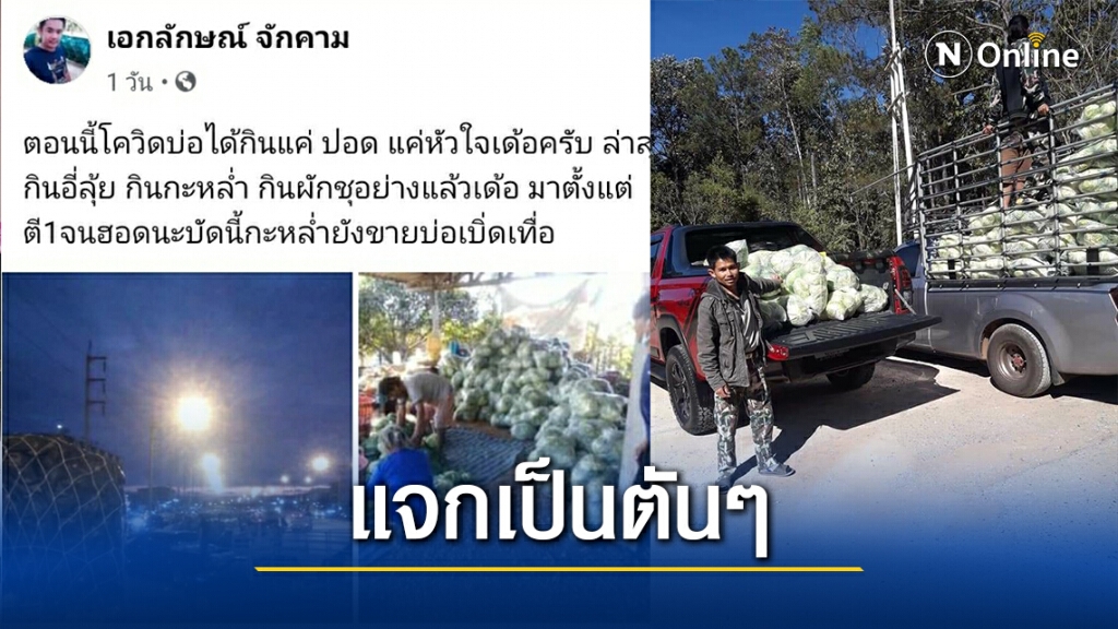 โควิดพ่นพิษ! ผักไม่มีคนซื้อ-ราคาตก พ่อค้าหนุ่มแจกฟรีเกือบ3ตัน