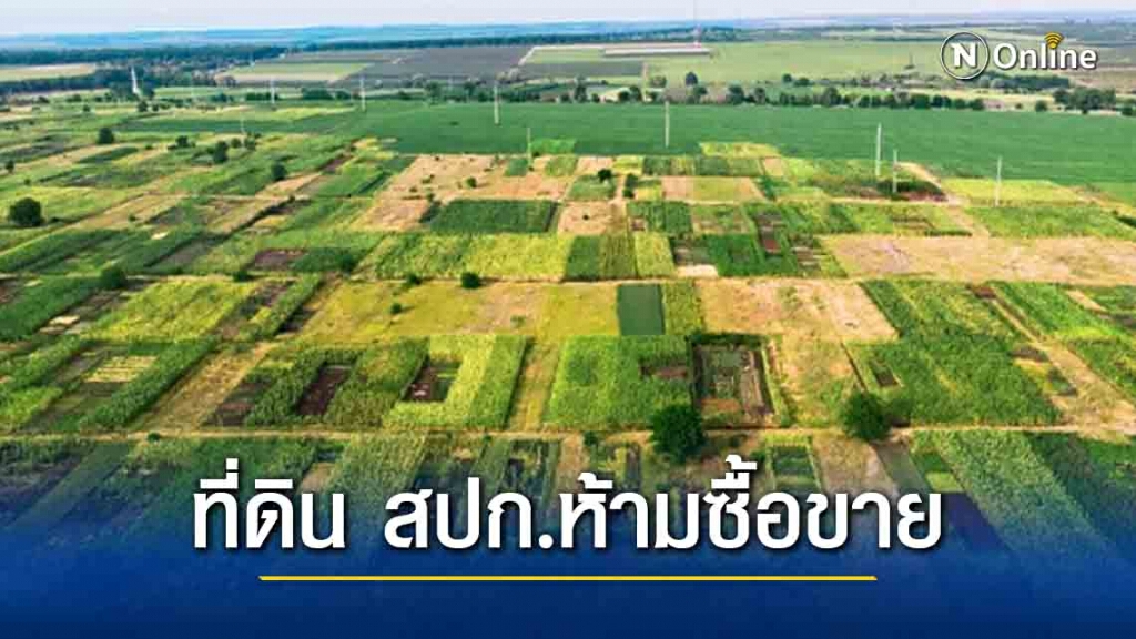 ซื้อขายที่ดิน สปก. เป็นโมฆะ ซื้อแล้วอาจโดนยึดขอเงินคืนไม่ได้