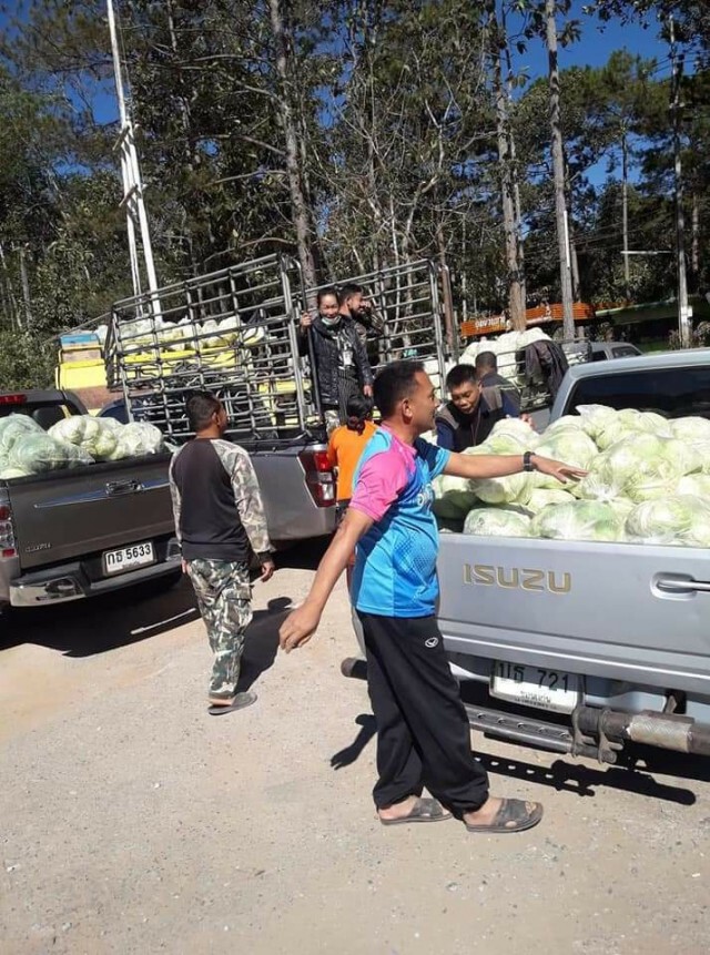 โควิดพ่นพิษ! ผักไม่มีคนซื้อ-ราคาตก พ่อค้าหนุ่มแจกฟรีเกือบ3ตัน