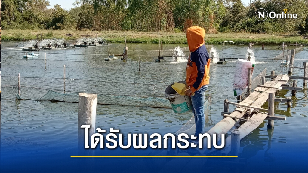 อากาศหนาว กระทบผู้เลี้ยงปลาในกระชังโนนสูงกว่า50ราย อากาศหนาว กระทบผู้เลี้ยงปลาในกระชังโนนสูงกว่า50ราย