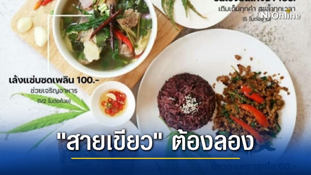 เปิดตัวแล้ว! ร้านอาหาร "กัญชา" แห่งแรกในไทย เปิดตัวแล้ว! ร้านอาหาร "กัญชา" แห่งแรกในไทย