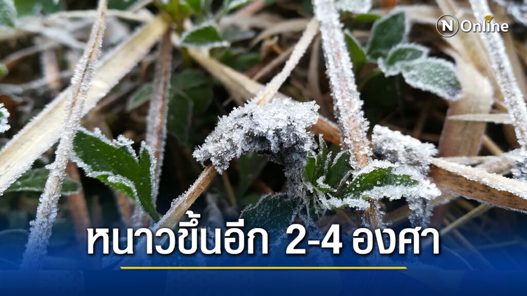 ภาคเหนือ-อีสาน ยังหนาวอีกระลอก กรุงเทพฯอุณหภูมิต่ำสุด 18 องศา