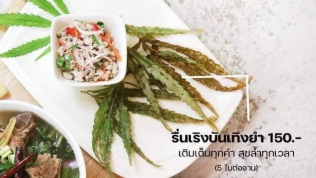 เปิดตัวแล้ว! ร้านอาหาร "กัญชา" แห่งแรกในไทย