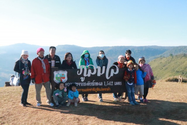 "ชมพู"ทั่วบ้านใหม่ร่องกล้า"