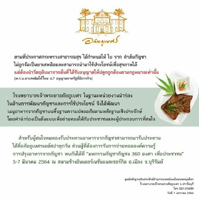 เปิดตัวแล้ว! ร้านอาหาร "กัญชา" แห่งแรกในไทย