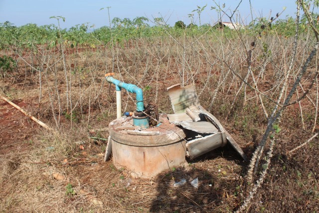 โขลงช้างกว่า 20 ตัวบุกไร่ขนุนราบเป็นหน้ากลอง