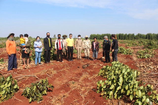 โขลงช้างกว่า 20 ตัวบุกไร่ขนุนราบเป็นหน้ากลอง